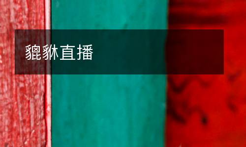 貔貅直播
