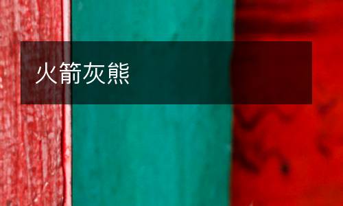 火箭灰熊