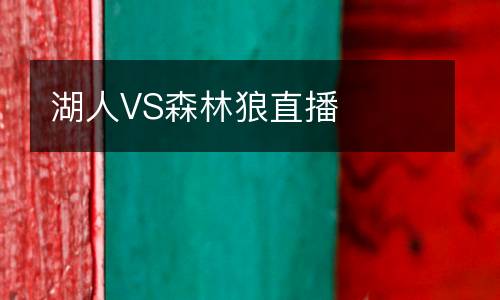 湖人VS森林狼直播